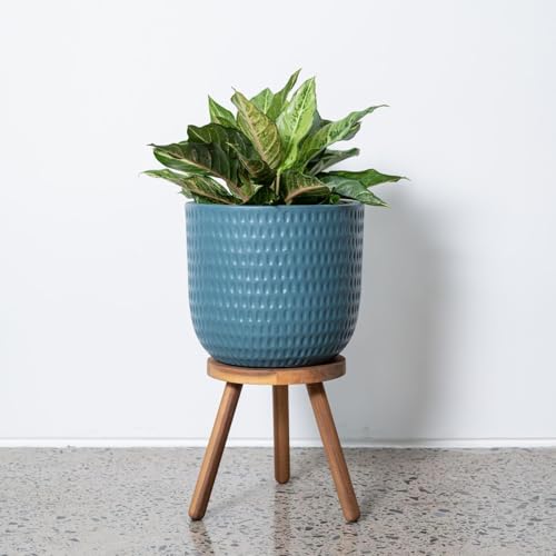 Modern Round Wooden Side Table