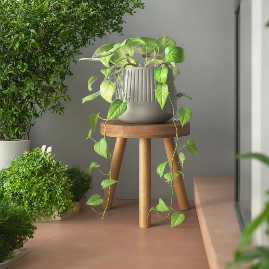 Modern Round Wooden Side Table